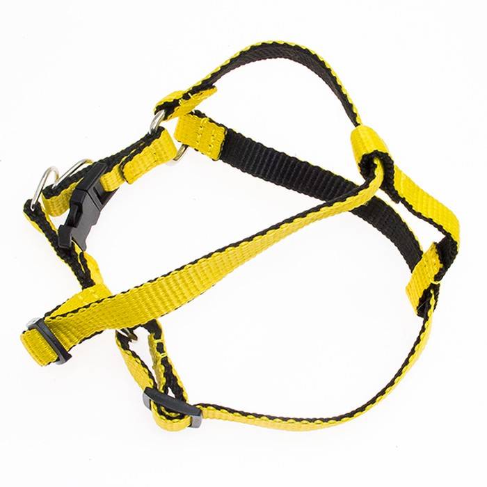 Шлейка для собак Дягилев с застежкой фастекс нейлоновая желтая М ДЛ 43-50 см Ш 15 мм