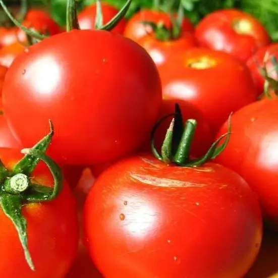 

Семена томат Волгоградский Agroni SSS-17251009 1 уп.