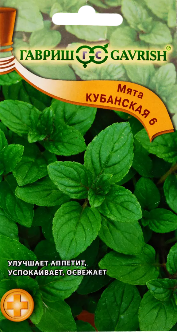 Семена Мята перечная «Кубанская»