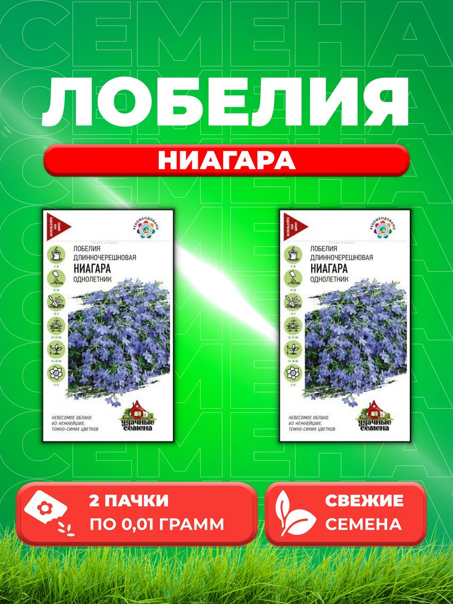 

Семена Лобелия Ниагара, ампельная * 0,01 г Уд. с. DH (2уп)