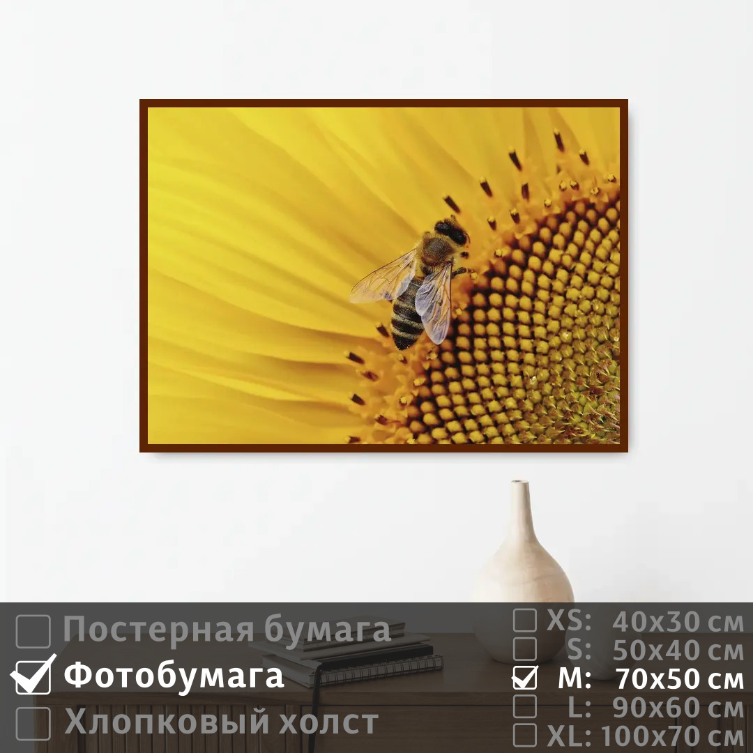 

Постер на фотобумаге ПолиЦентр Пчела в подсолнухе 70х50 см, ПчелаВПодсолнухе