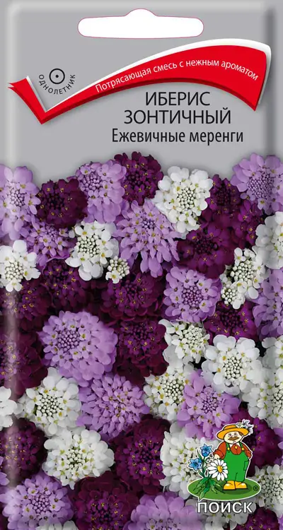 

Семена иберис Ежевичные меренги Поиск SSS-86217937 1 уп.