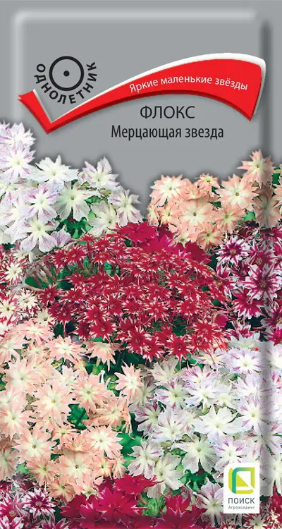 

Семена флокс Мерцающая звезда Поиск SSS-86218001 1 уп.