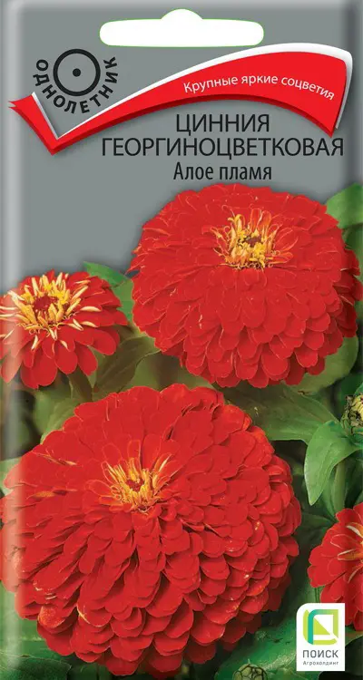 

Семена цинния Алое Пламя Поиск SSS-86218003 1 уп.