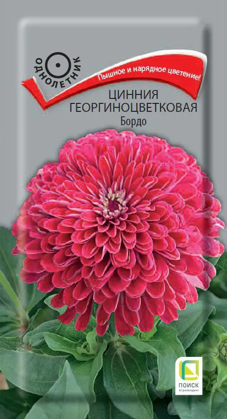 

Семена цинния Бордо Поиск SSS-86218004 1 уп.