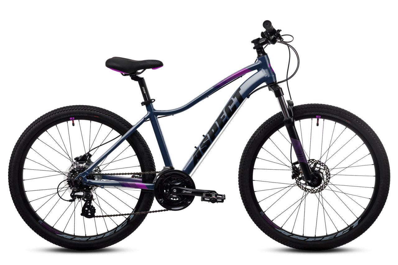 

Велосипед ASPECT Oasis HD 26"-16"-22г (Черно-фиолетовый)