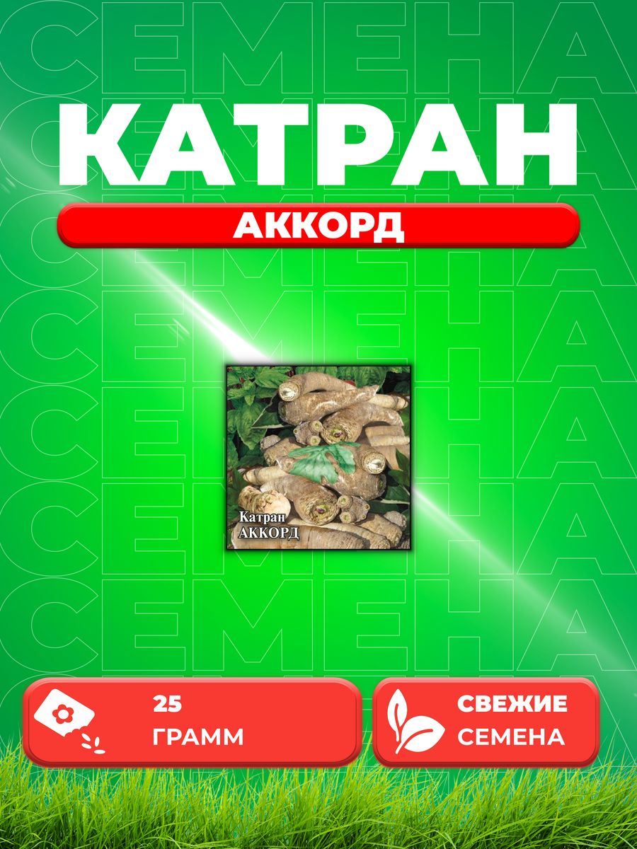 

Семена катран Аккорд Гавриш 106999489-1 1 уп.