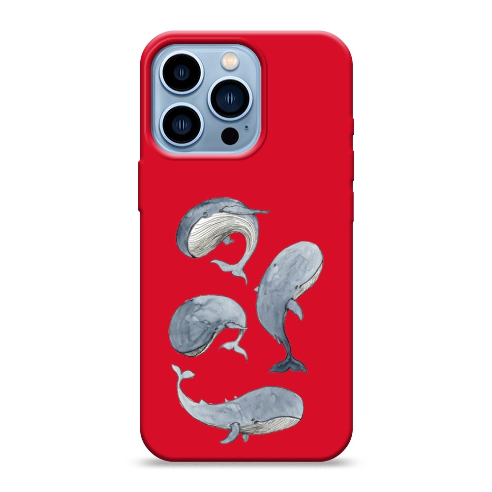 

Чехол Awog на Apple iPhone 13 Pro / Айфон 13 Pro "Киты", Разноцветный, 14353-1