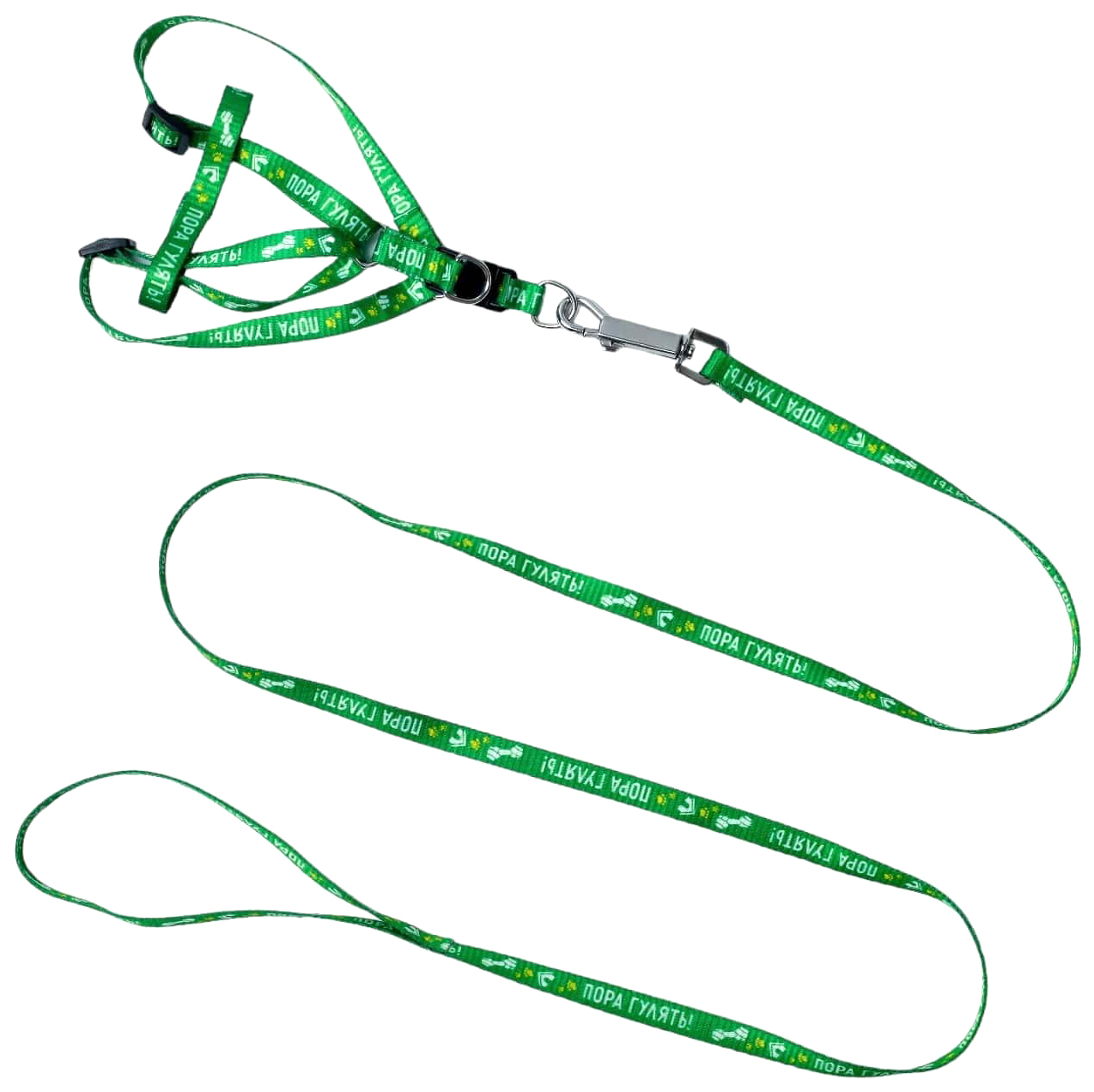 

Комплект амуниции Пушистое счастье Пора гулять, шлейка и поводок, капрон, 24-34 см, 120 см, Зеленый