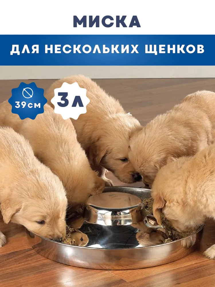 

Миска для щенков Аква Энимал, серебристая, нержавеющая сталь, 3 л, диаметр 39 см, Серебристый