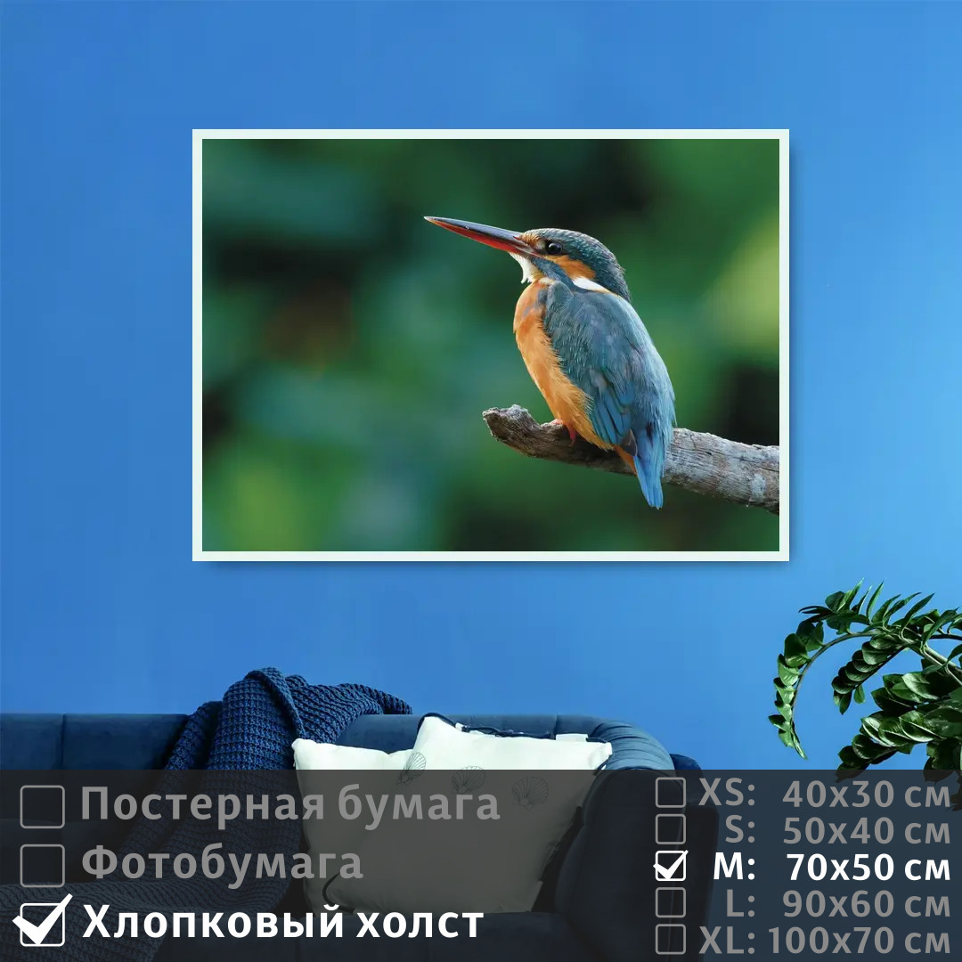 

Постер на холсте ПолиЦентр Птичка на ветке 70х50 см, ПтичкаНаВетке