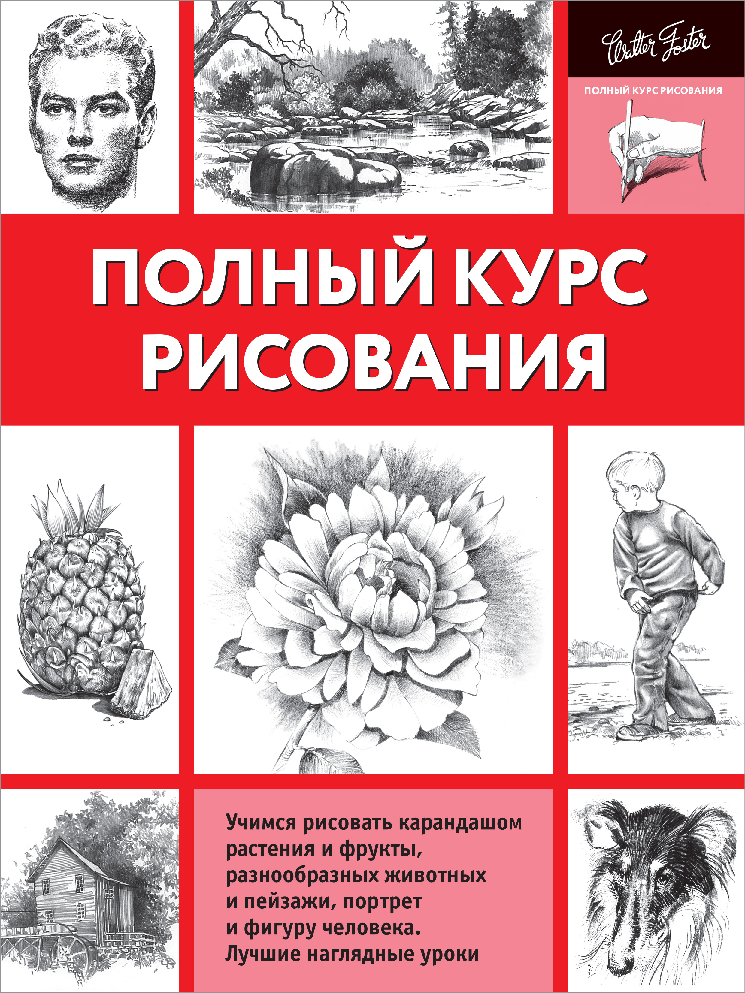 фото Книга полный курс рисования аст