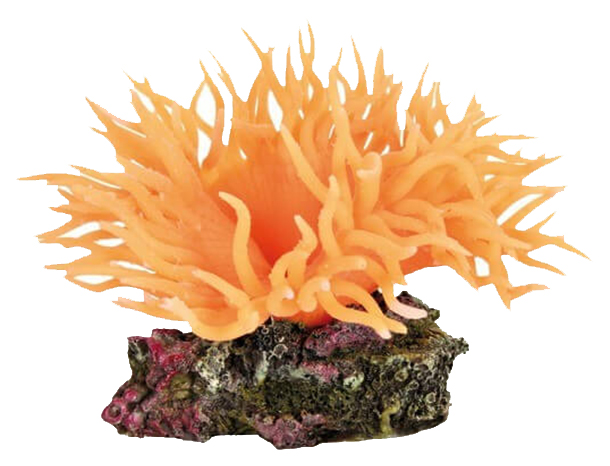 Искусственный коралл TRIXIE Sea Anemone, оранжевый, 7х5х11 см