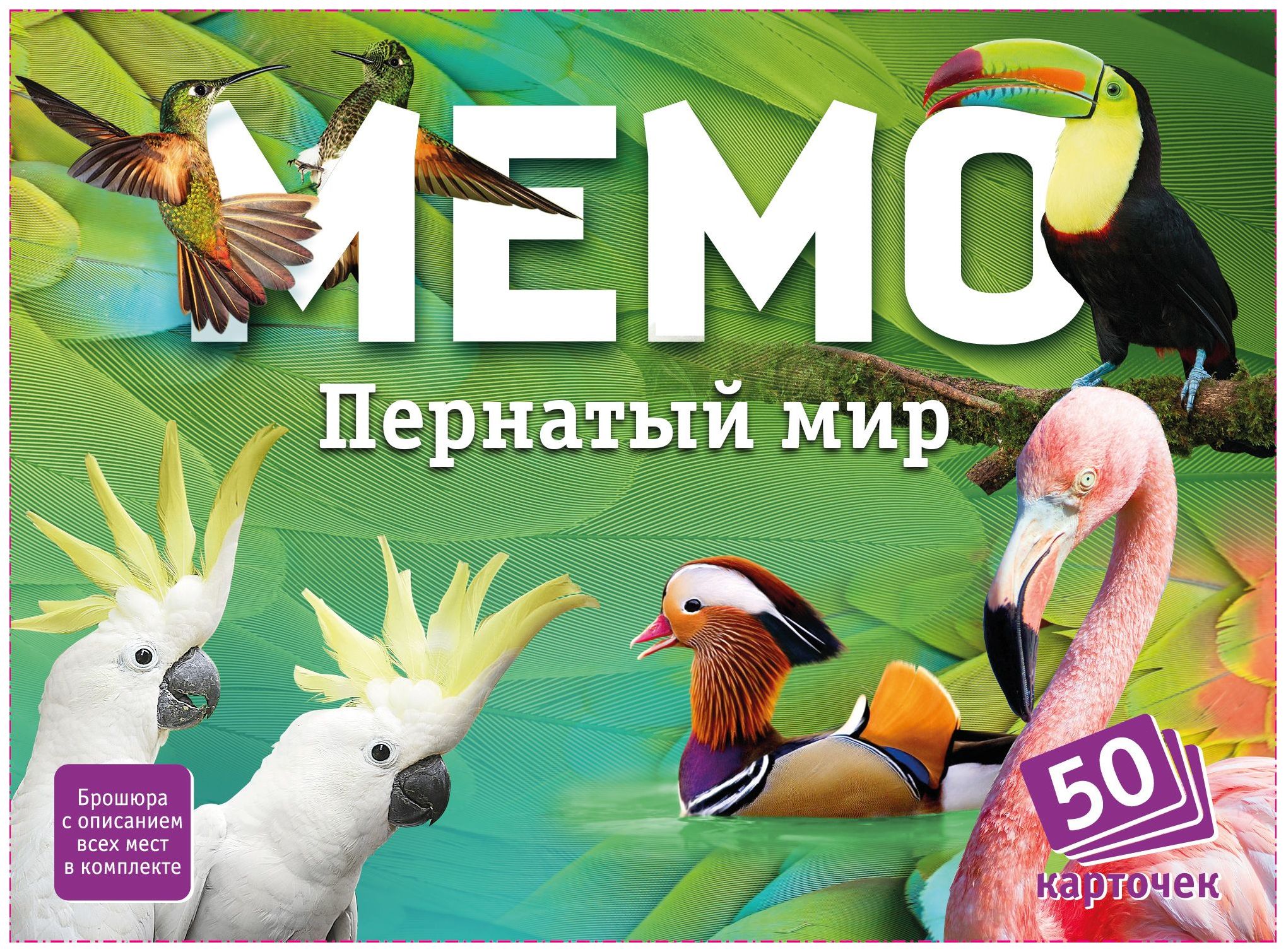 фото Настольная игра нескучные игры мемо пернатый мир