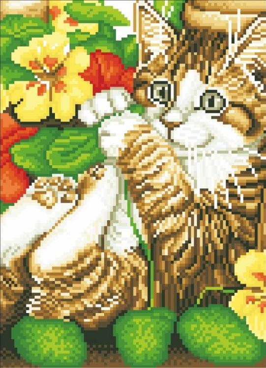 

Алмазная вышивка Цветной Игривый котенок, 30x40 см, Игривый котенок