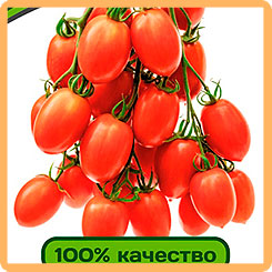 

Семена Томат Пламя F1, 0,1 г, Partner, 216762