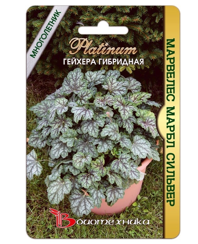 

Семена Гейхера гибридная Марвелес Марбл Сильвер, 8 шт, Platinum Биотехника