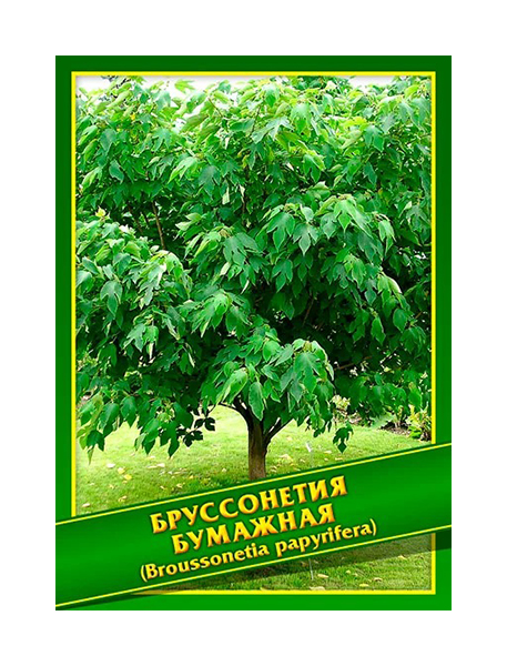 

Семена Бруссонетия Бумажная, 0,1 г Симбиоз