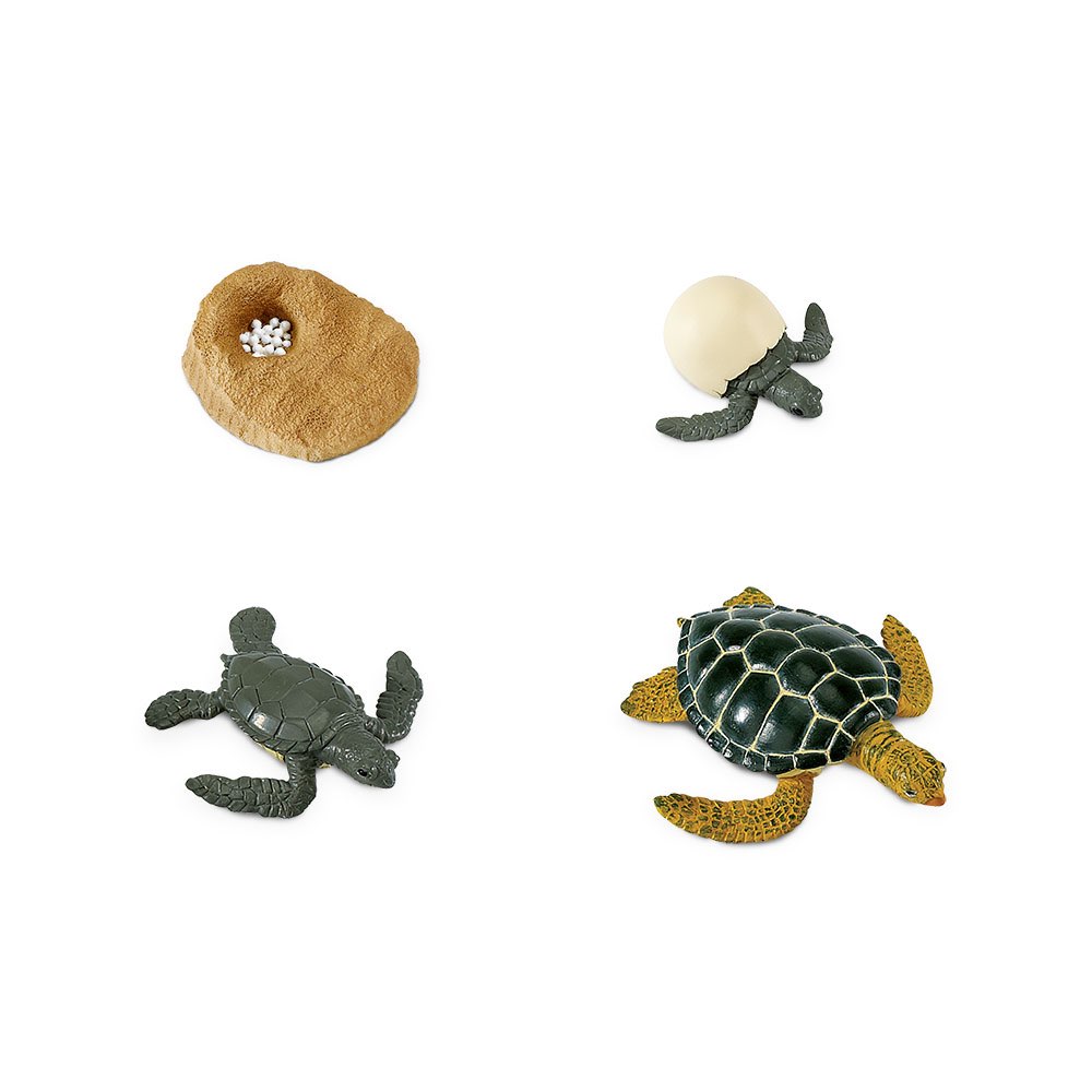 Набор черепахи. Фигурка Safari Ltd зеленая морская черепаха 202329. Фигурка Safari Ltd морская черепаха 260429. Фигурка Safari Ltd детеныш зеленой морской черепахи 201329. Набор черепах.