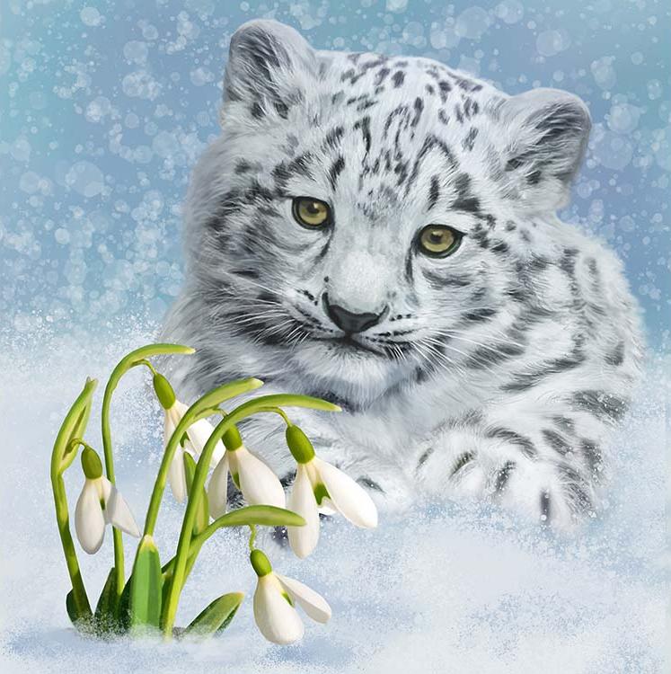 

Алмазная вышивка Алмазное Хобби Снежный барс, 30x30 см, Снежный барс