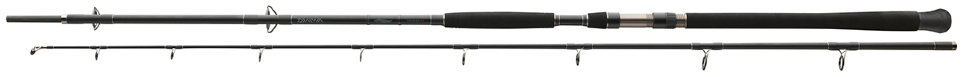 фото Удилище спиннинговое daiwa exceler catfish 3.30 м, 200-600 г