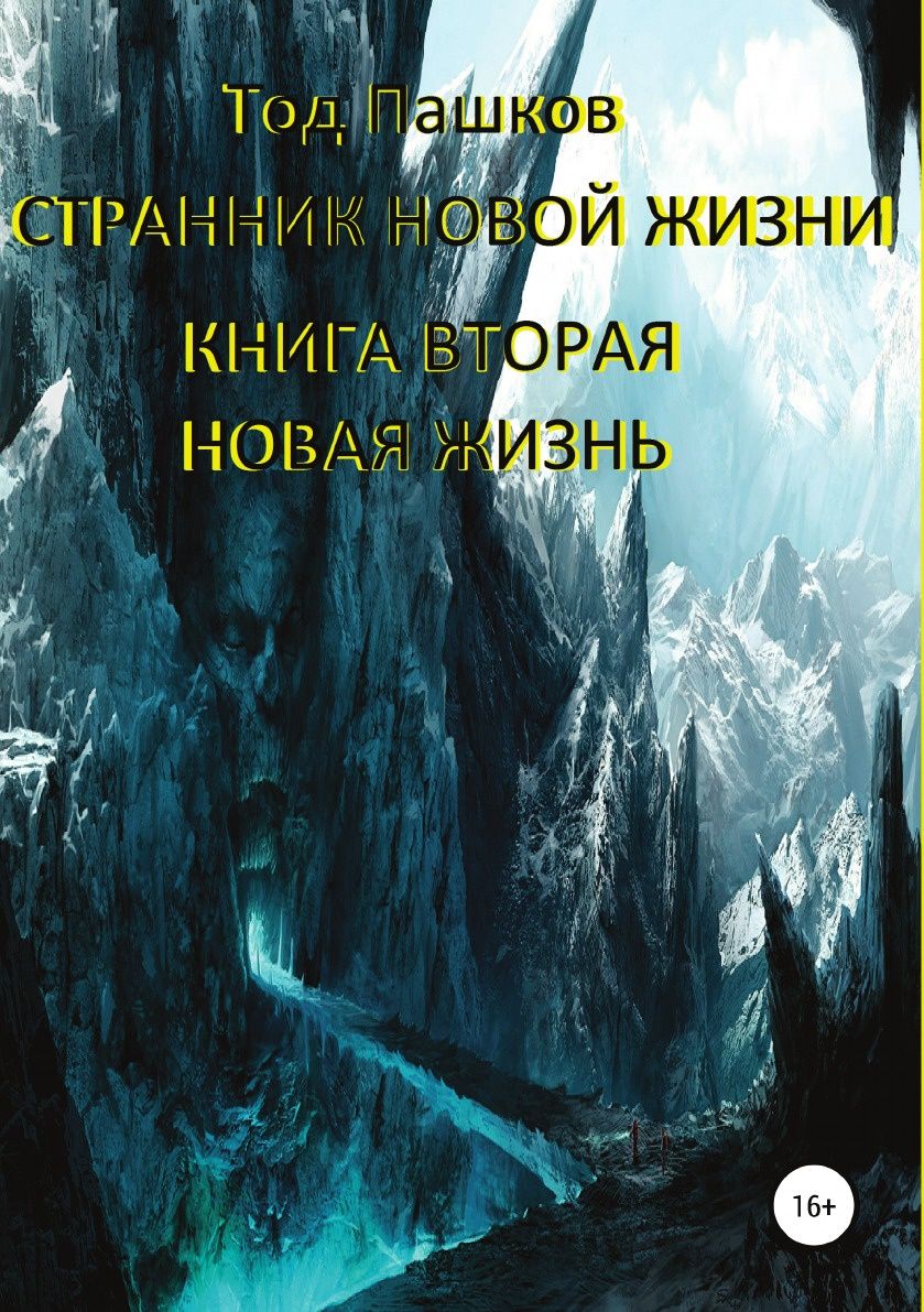 фото Книга странник новой жизни, книга вторая, новая жизнь литрес