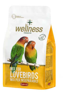 

Сухой корм для попугаев Padovan WELLNESS MIX, 850 г, WELLNESS MIX