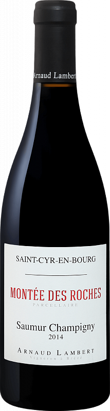 

Вино Saint-Cyr-En-Bourg Montee Des Roches Parcellaire Cabernet Franc Saumur Champigny