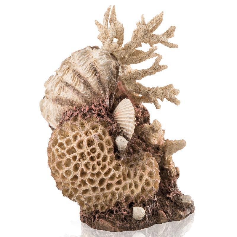 

Искусственный коралл biOrb Coral-shells ornament natural, бежевый, 22х22х26 см, Coral-shells ornament natural