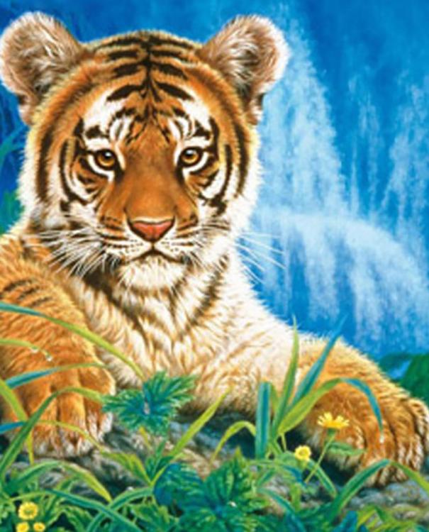 

Алмазная вышивка Color KIT Маленький тигренок, 17x21 см, Маленький тигренок