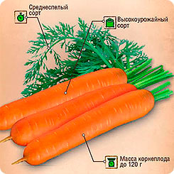 

Семена Морковь Нантская 4, 4 г, Тимирязевский питомник, 217893
