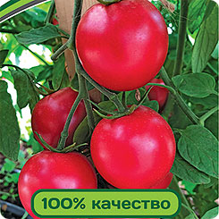 

Семена Томат Земледелец Малиновый F1, 0,1 г, Partner, 216765