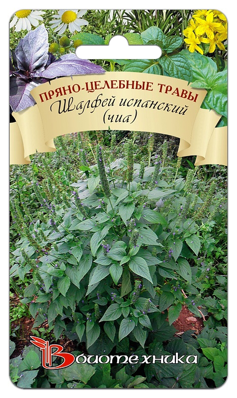 

Семена Шалфей Испанский (Чиа), 0,3 г Биотехника