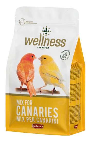 

Сухой корм для канареек Padovan WELLNESS MIX, 1 кг, WELLNESS MIX