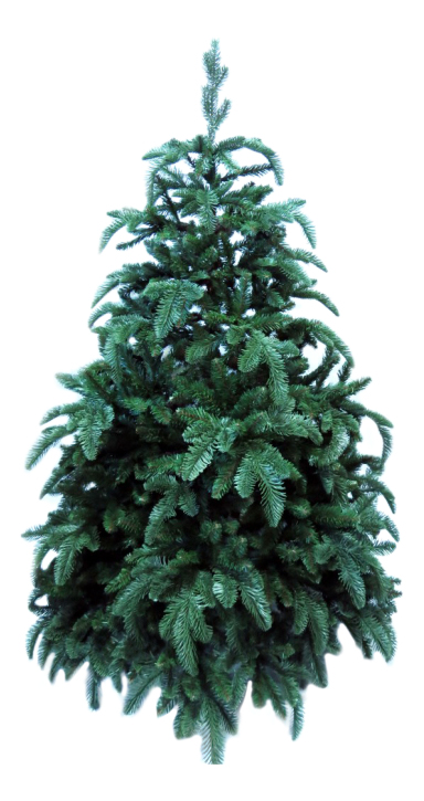 фото Ель искусственная triumph tree 73009 (1012299) нормандия 120 см зеленая