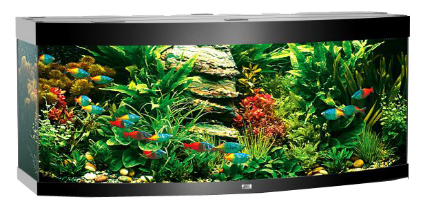 

Аквариум для рыб Juwel Vision 450, с изогнутым стеклом, черный, 450 л, 450 LED