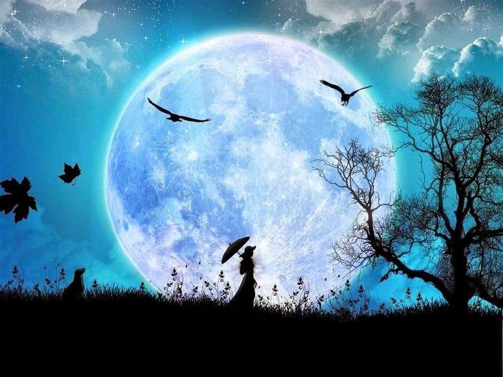 

Алмазная вышивка Яркие Грани Лунный свет, 38x50 см, Лунный свет