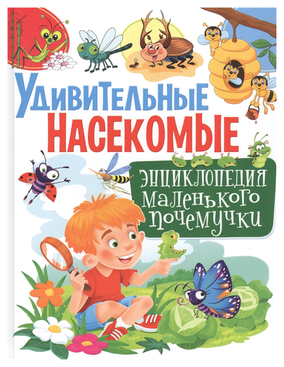 

Удивительные насекомые