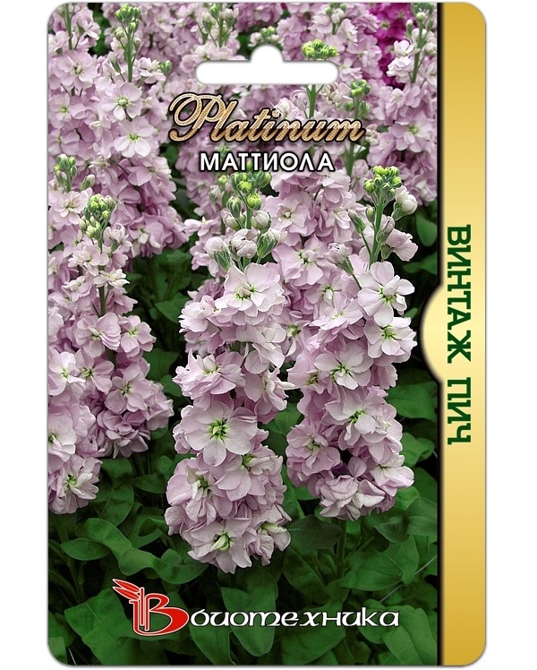 

Семена Маттиола Винтаж Пич, 20 шт, Platinum Биотехника