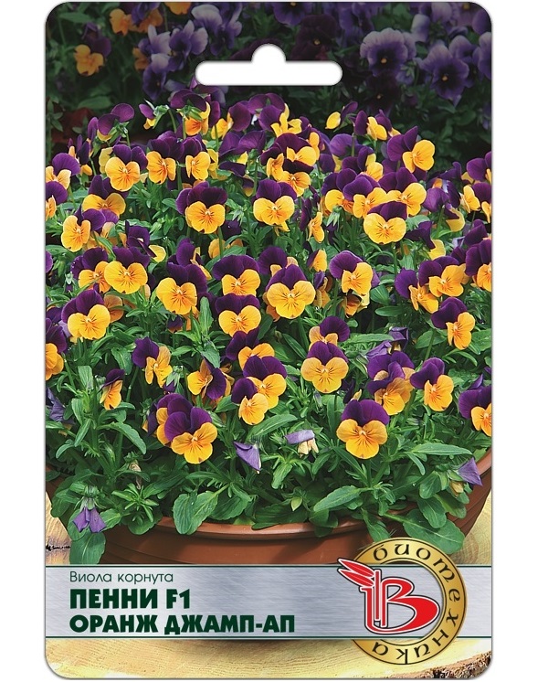 

Семена Виола корнута Пенни Оранж Джамп-Ап F1, 20 шт, Биотехника