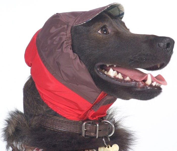 фото Шапка для собак тузик холодная №1, унисекс, в ассортименте, 29 см