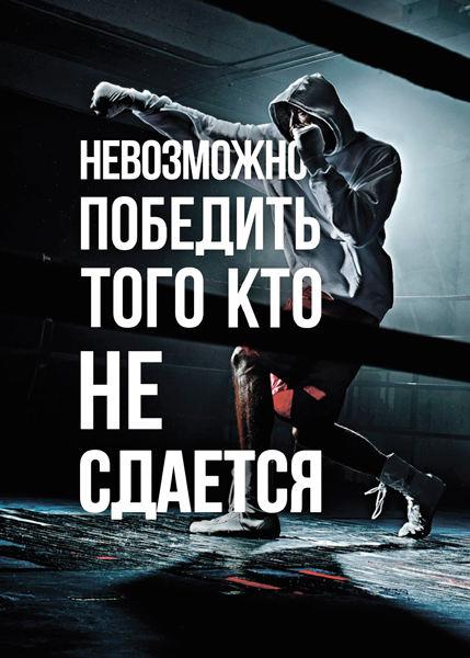 

Картина на холсте 30x40 см Невозможно победить Ekoramka HE-102-169