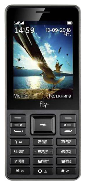 фото Мобильный телефон fly ts114 black