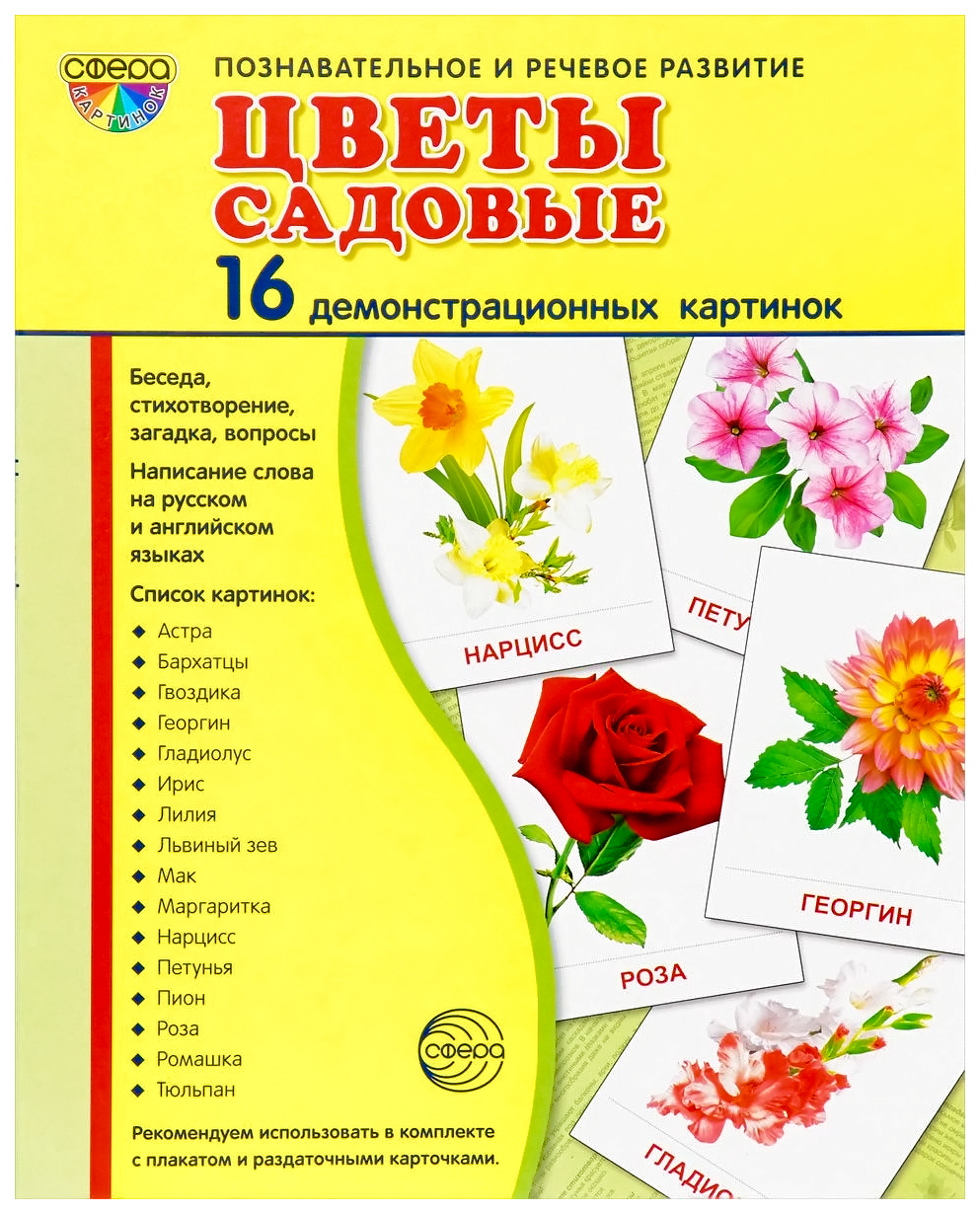 фото Сфера тц демонстрационные картинки супер цветы садовые (16 раздаточных карточек с тексто