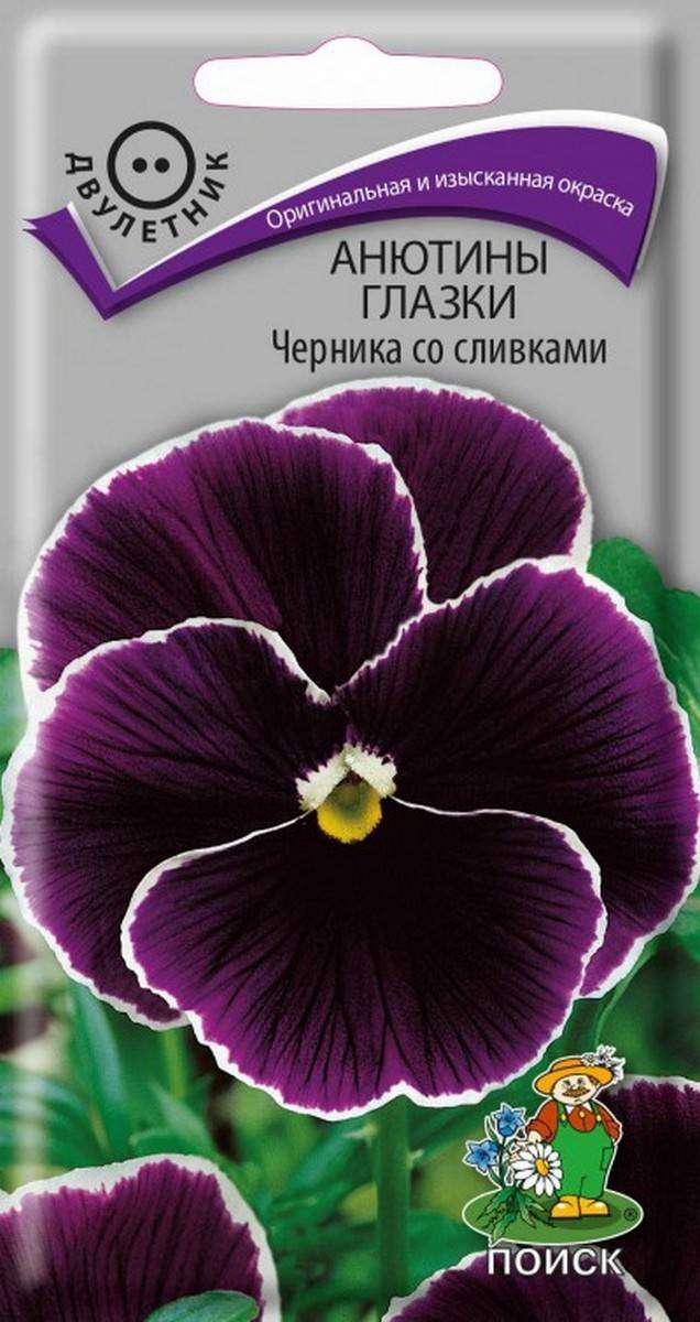 Семена анютины глазки Поиск Черника со сливками 190707 1 уп.