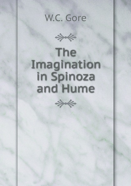 

The Imagination In Spinoza And Hume