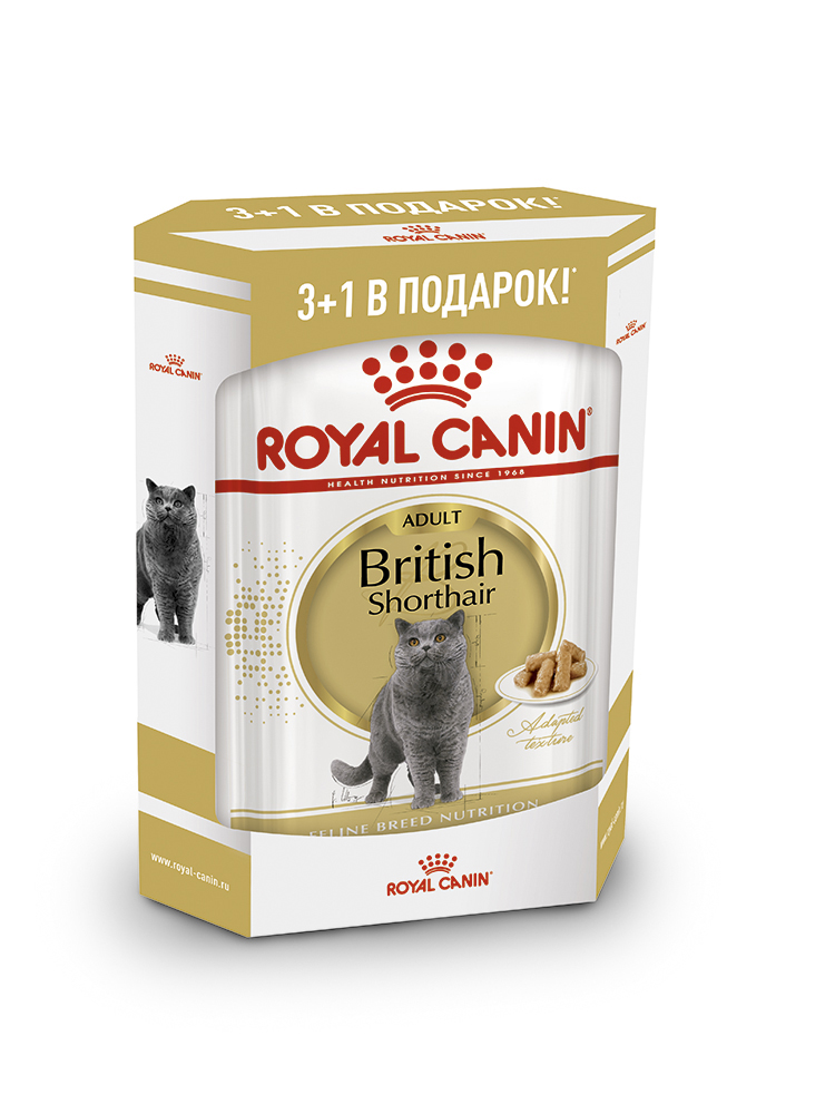 фото Влажный корм для кошек royal canin british shorthair adult, мясо, 3+1шт, 85 г