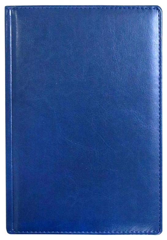 

Ежедневник Attache 993723 Agenda недатированный A5