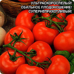 Семена Томат Непасынкующийся Округлый, 0,1 г, Уральский