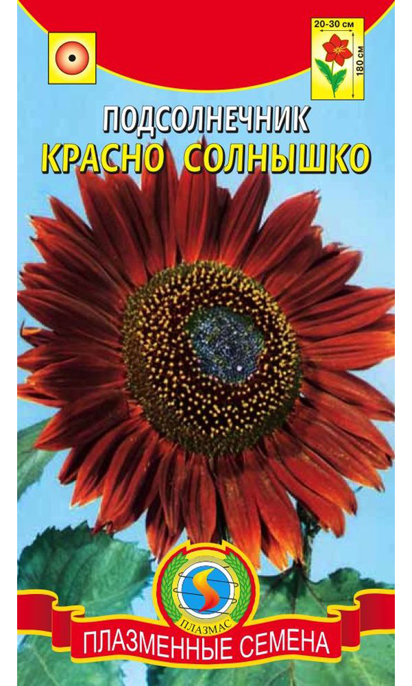 

Семена Подсолнечник Красно солнышко, 10 шт, Плазмас